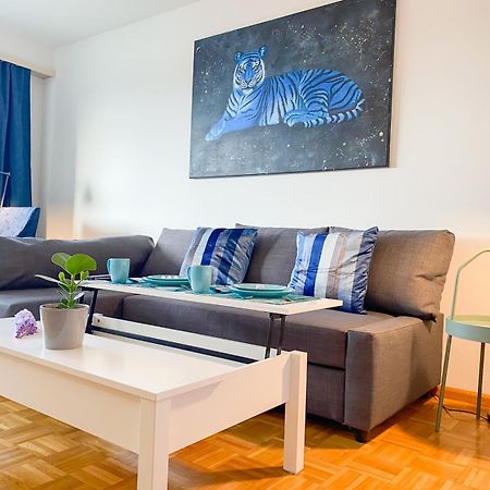Special Blue Tiger Apartment Basel, Messe Kleinbasel 10-Star Екстер'єр фото